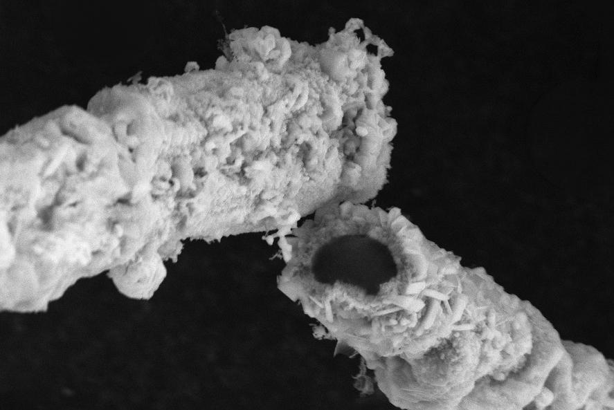 Cross-section — carbon fiber core surrounded by Ti₃SiC₂ MAX Phase shell
