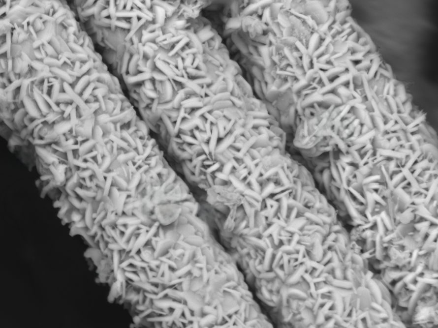 MAX Phase — lamellar grain structure of the Ti₃SiC₂ ceramic coating